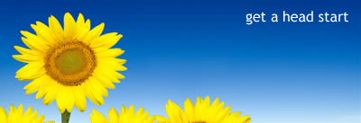 Get a head start. Several sunflowers, one noticeably taller than the rest
