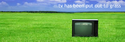 TV has been put out to grass. A 80's style television lying abandoned in a grass field