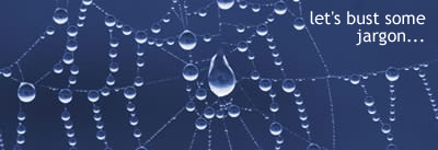 Lets bust some jargon. A spider's web covered in dew drops